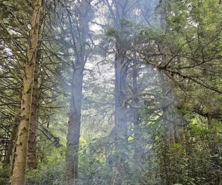 Tahkenitch Campground