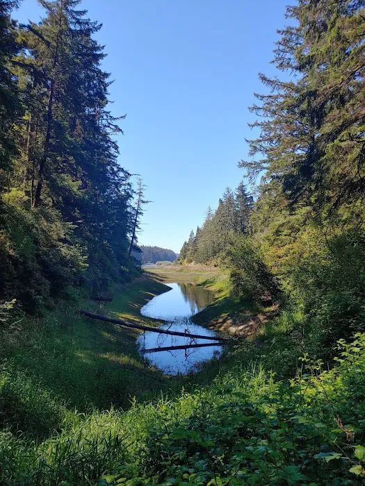 Tahkenitch Campground Picture 7