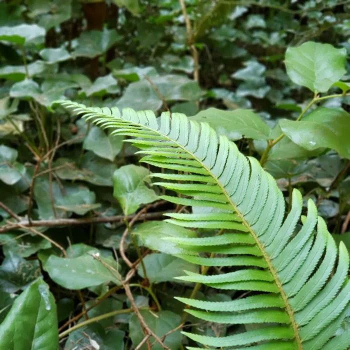 Tahkenitch Campground Picture 4