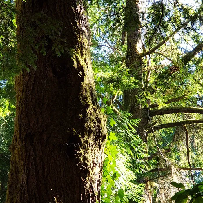 Tahkenitch Campground Picture 10