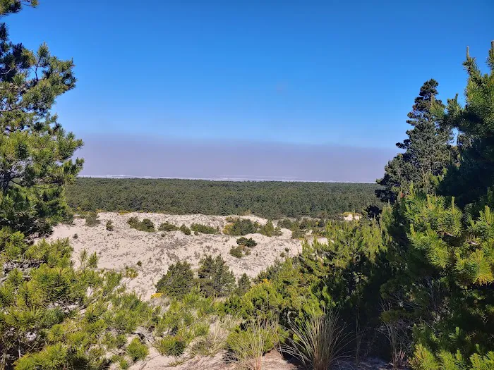 Tahkenitch Campground Picture 8