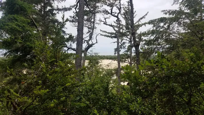 Tahkenitch Campground Picture 6