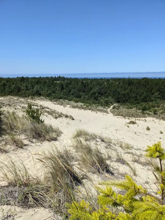 Carter Dunes Trailhead Picture 2