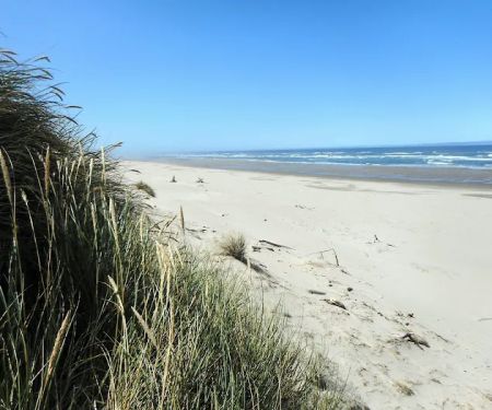 Carter Dunes Trailhead