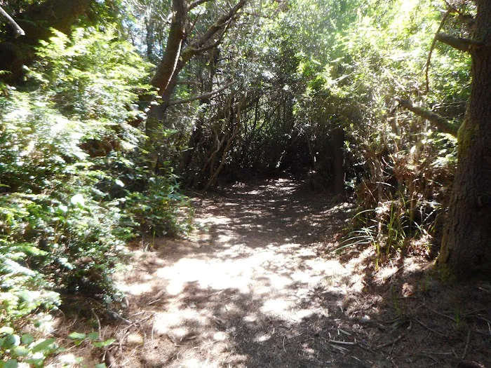 Carter Dunes Trailhead Picture 3