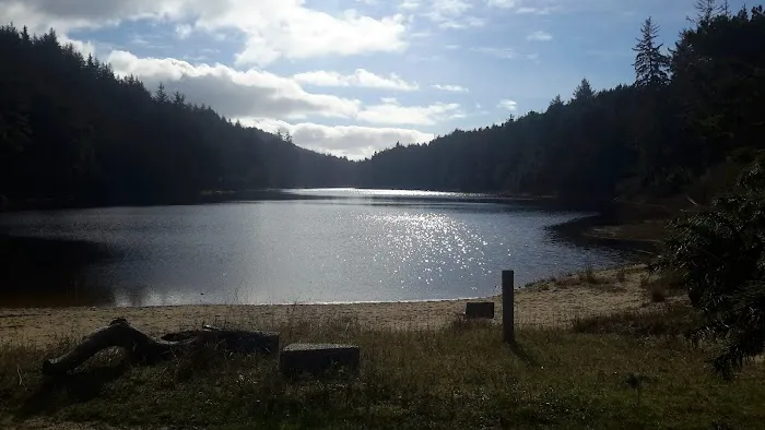 Carter Dunes Trailhead Picture 6