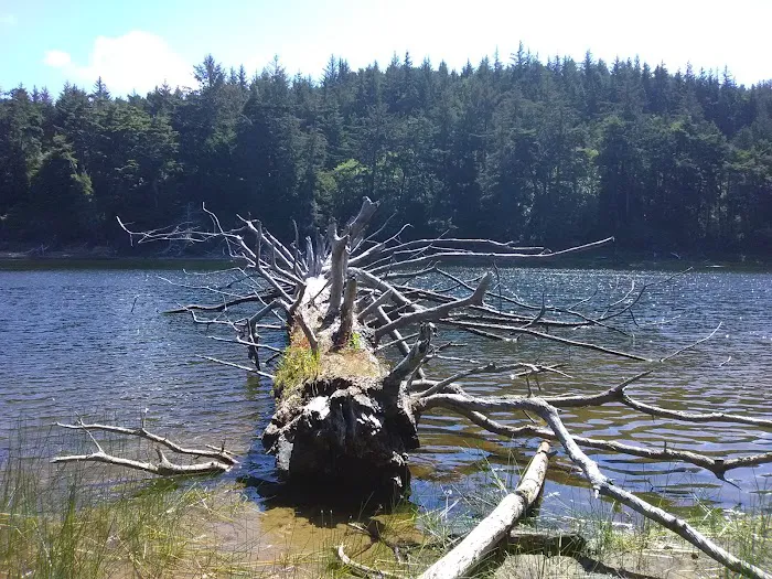 Carter Dunes Trailhead Picture 9