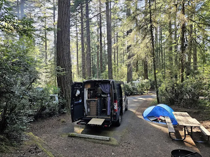 Jessie M. Honeyman Memorial State Park Campground Picture 9