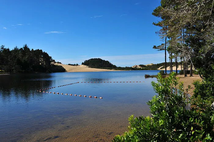 Jessie M. Honeyman Memorial State Park Campground Picture 3