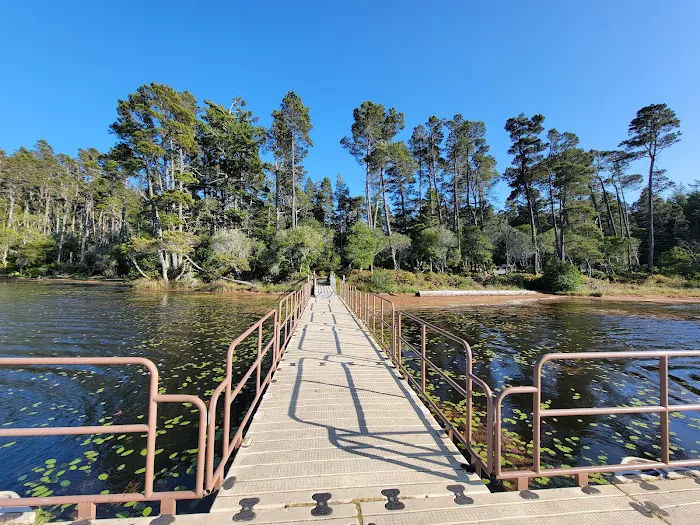 Jessie M. Honeyman Memorial State Park Campground Picture 6