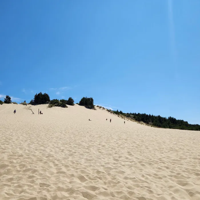 Jessie M. Honeyman Memorial State Park Campground Picture 7