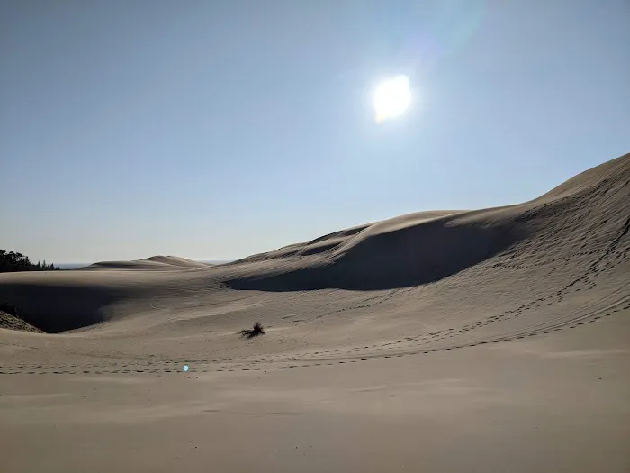 Jessie M. Honeyman Memorial State Park Campground Picture 2