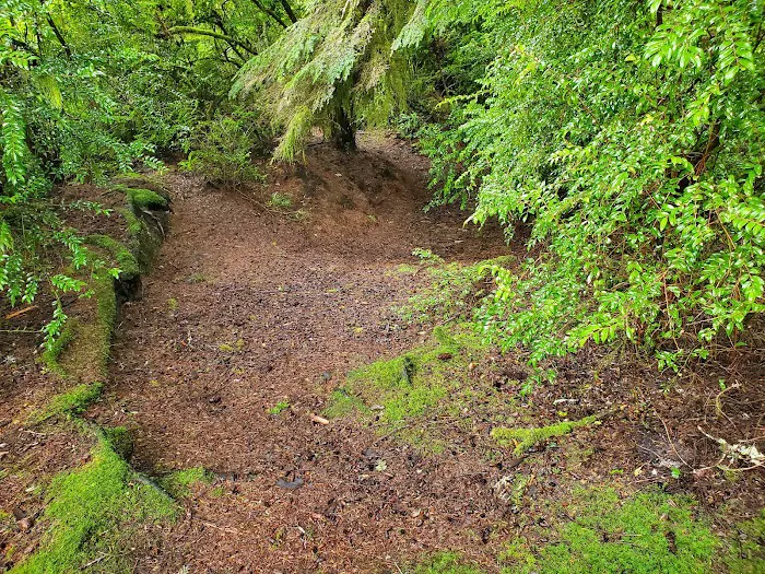 Jessie M. Honeyman Memorial State Park Campground Picture 8