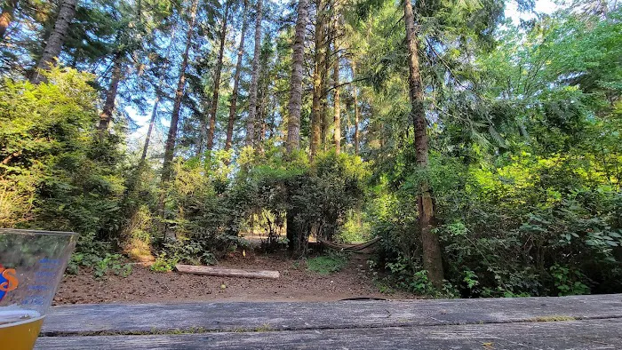 Jessie M. Honeyman Memorial State Park Campground Picture 1