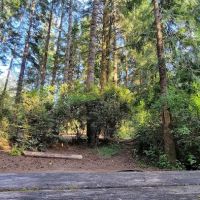 Jessie M. Honeyman Memorial State Park Campground ico
