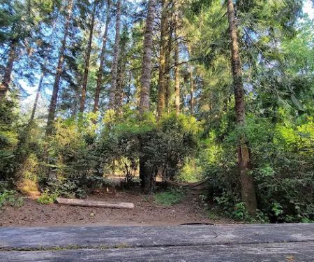 Jessie M. Honeyman Memorial State Park Campground