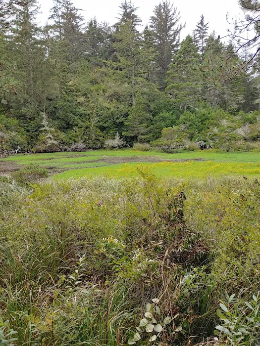 Lagoon Campground Picture 6