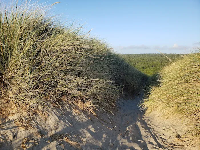 Lagoon Campground Picture 3