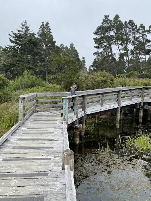 Lagoon Campground Picture 1