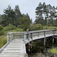 Lagoon Campground ico