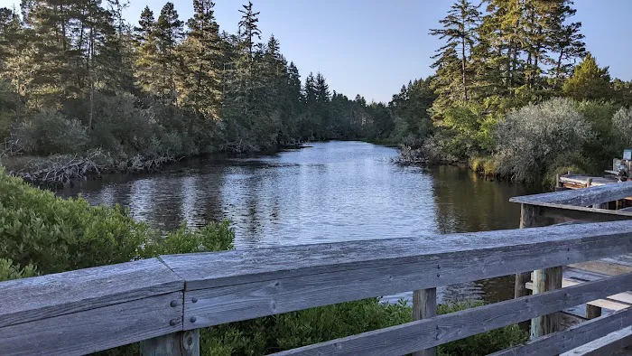 Lagoon Campground Picture 5