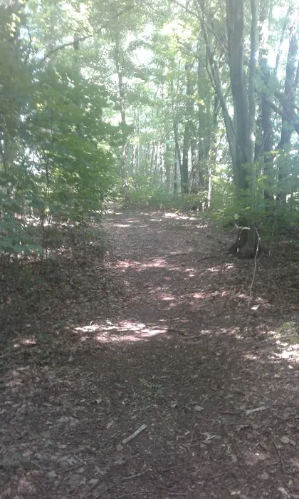 Sundial Mobile Park Picture 5