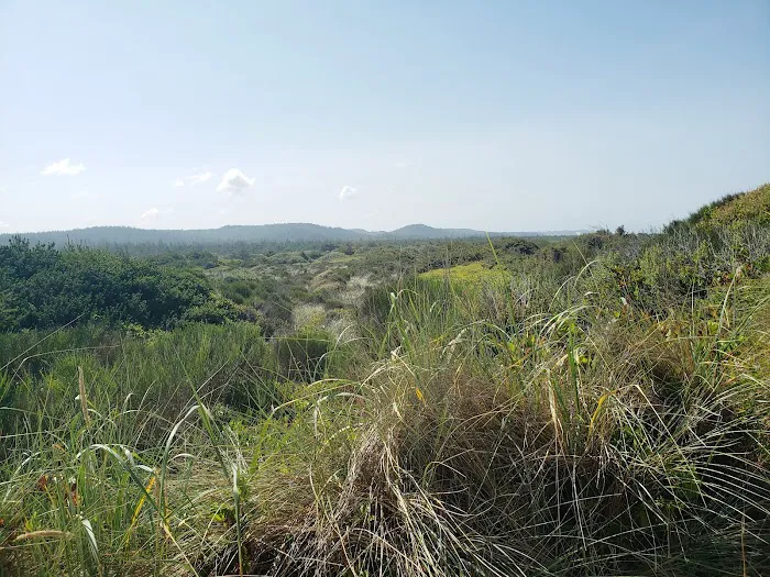 Waxmyrtle Campground Picture 5