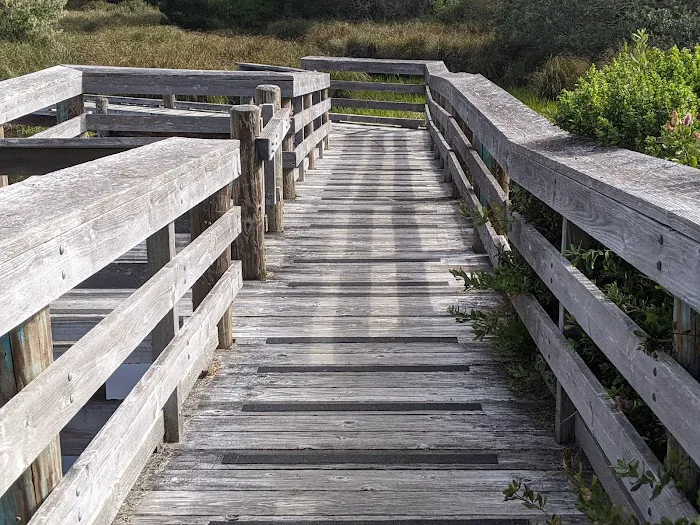 Waxmyrtle Campground Picture 7