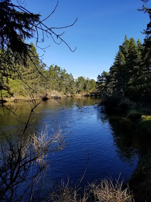 Waxmyrtle Campground Picture 6