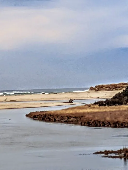 Waxmyrtle Campground Picture 9