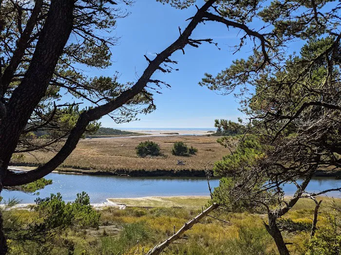 Waxmyrtle Campground Picture 4