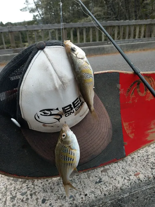 Waxmyrtle Campground Picture 8