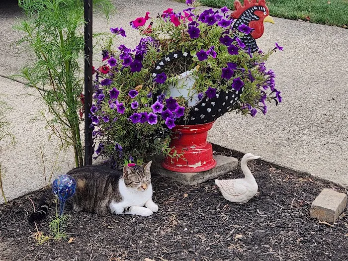 Shore Acres Mobile Home Park Picture 4