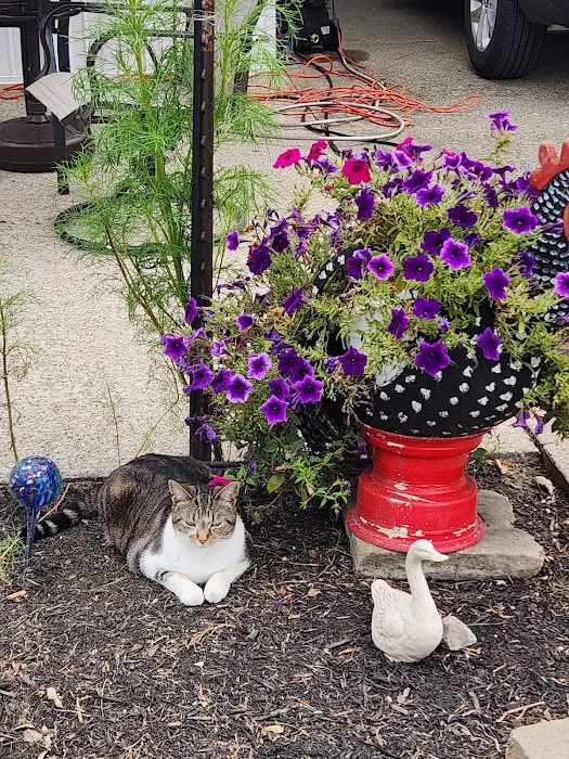 Shore Acres Mobile Home Park Picture 3