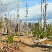 Three Creek Meadow Campground & Horsecamp ico