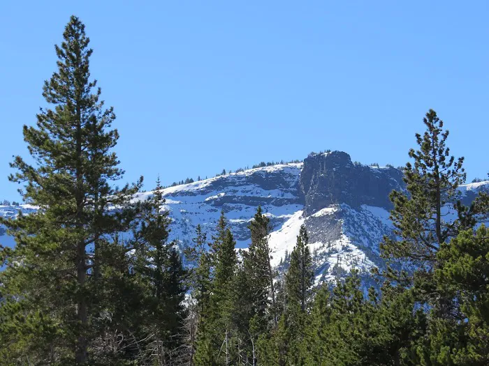 Three Creek Meadow Campground & Horsecamp Picture 8