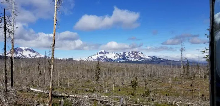 Three Creek Meadow Campground & Horsecamp Picture 4