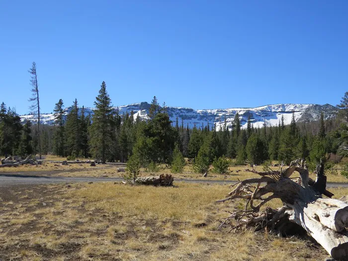 Three Creek Meadow Campground & Horsecamp Picture 9