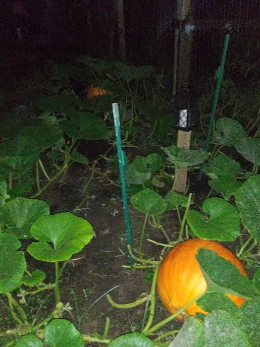 Riverview Mobile Home Park Picture 3