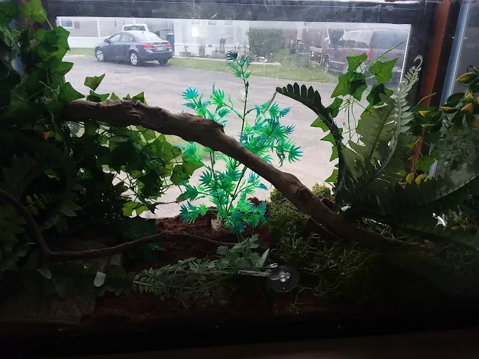 Riverview Mobile Home Park Picture 6