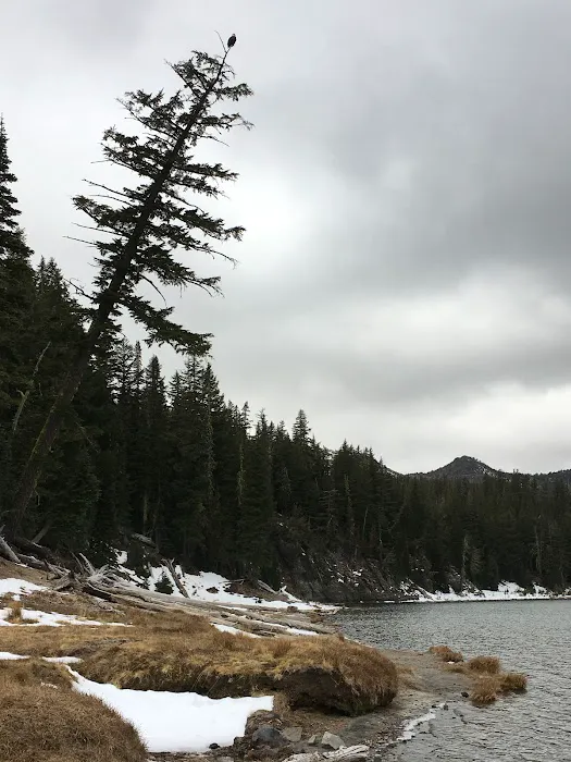 Three Creek Lake Campground Picture 6