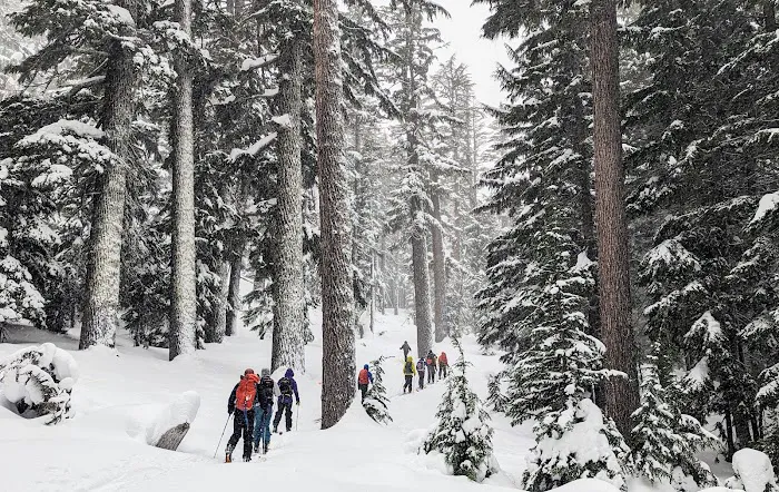 Three Creek Lake Hut Picture 5