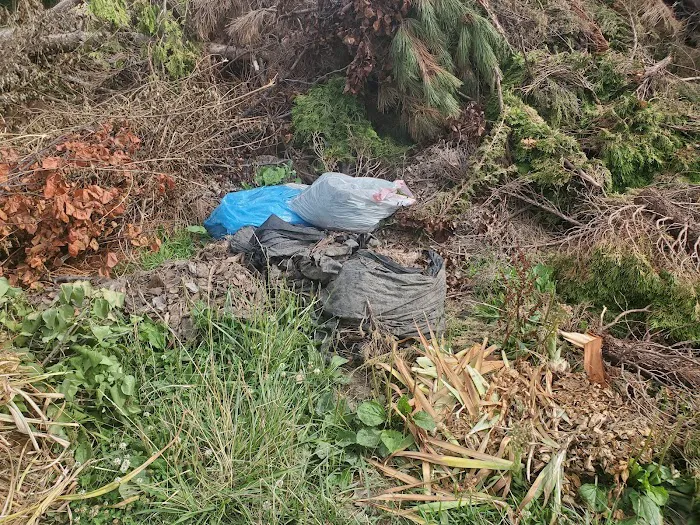 Harbourtown Mobile Home Community Picture 4