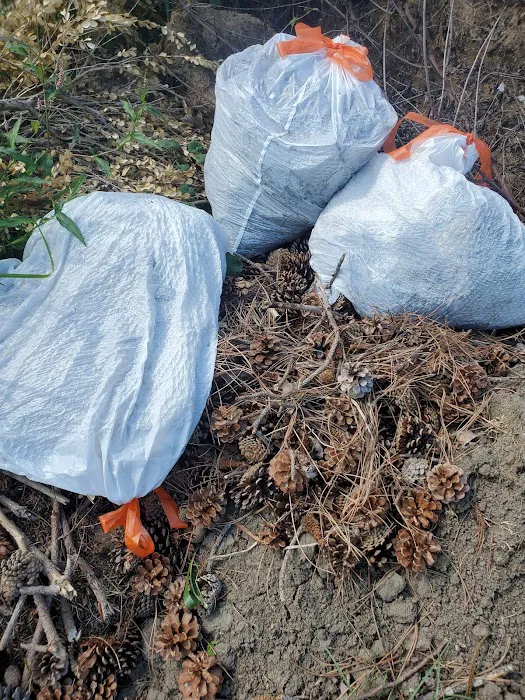 Harbourtown Mobile Home Community Picture 1