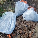 Harbourtown Mobile Home Community