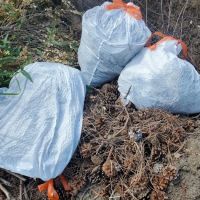 Harbourtown Mobile Home Community ico