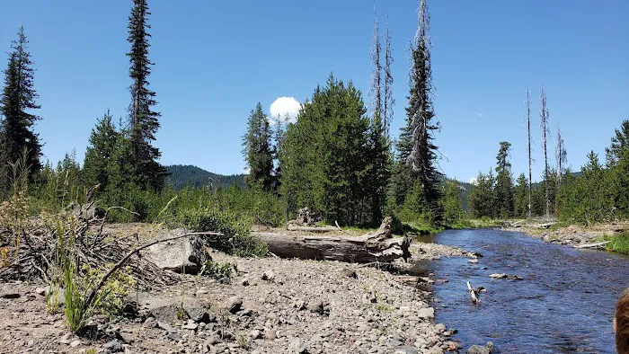 Soda Creek Campground Picture 10