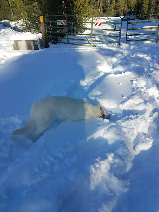 Soda Creek Campground Picture 3