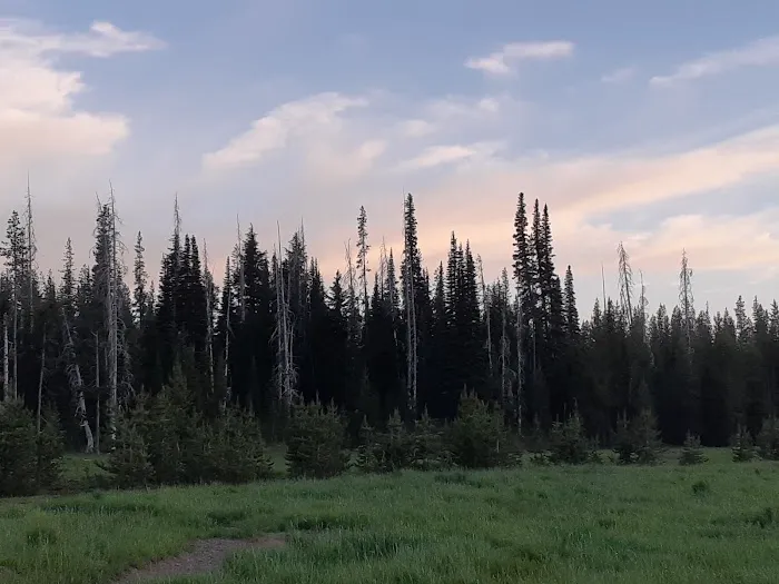 Soda Creek Campground Picture 8