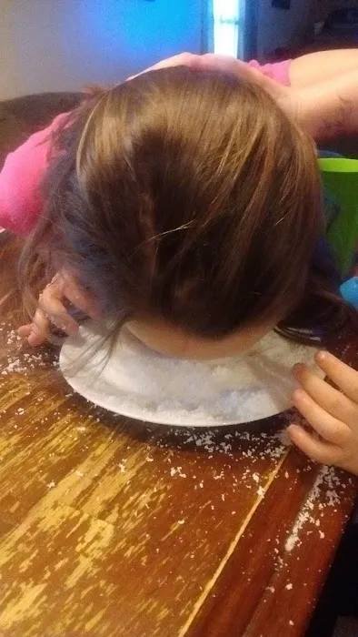 Spruce Tree Village Mobile Home Picture 2